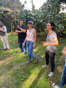 Los kiwis buscan su lugar en el corazón de la pampa húmeda