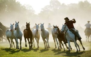 En San Antonio de Areco, la tradición tiene su fiesta