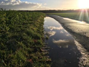 Lluvias de julio reconfiguran la campaña: cae el área de trigo, sube la soja 2024/25