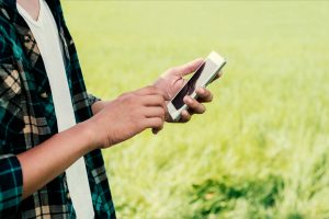 Las NACIONALES tendrán un asistente virtual
