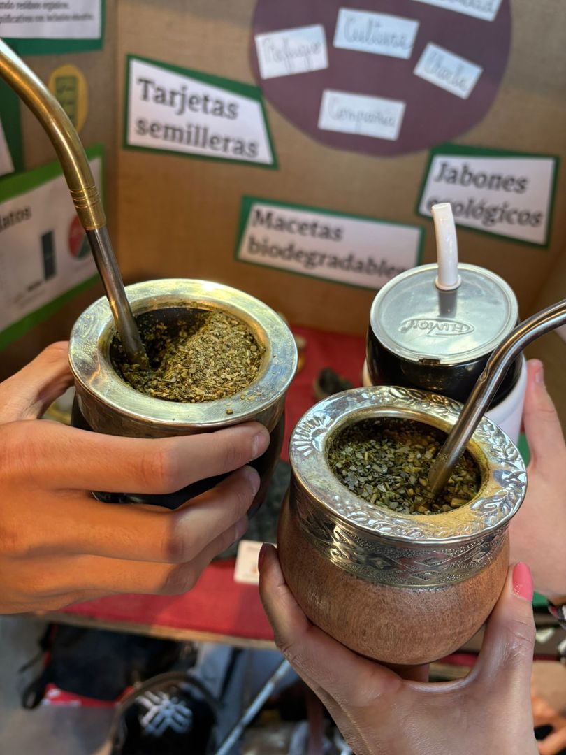 El Mate en la Escuela llegó a Junín