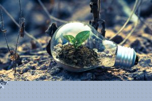 Cómo nos movemos impacta en el mundo