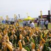 27/02 – NIDERA, UNA PARADA OBLIGADA EN EXPOAGRO