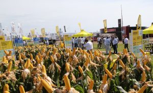 27/02 – NIDERA, UNA PARADA OBLIGADA EN EXPOAGRO