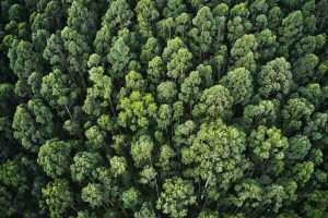 La Unión Europea financiará un proyecto argentino de sostenibilidad