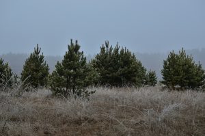 Llegaron los frentes fríos, las lluvias, pero aun así, La Pampa continúa con déficit hídrico