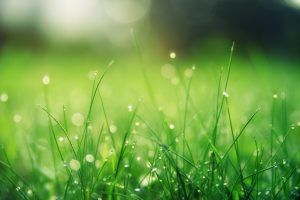 Clima ¿Qué está pasando con el Niño?