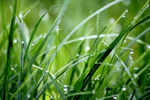 Primavera: con la llegada del Niño ¿vienen más lluvias?
