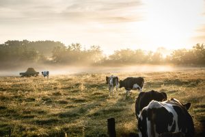 Llega la 10° Jornada Nacional de Actualización del sector inmobiliario rural