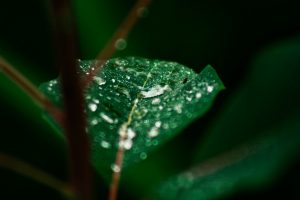 ¿Qué pasa con las lluvias en los próximos 3 meses?