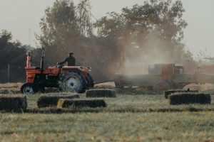 Nazábal: “El productor que pierda 30% de lo que invirtió, hace negocio”