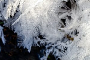 Heladas: Estado de Emergencia Agropecuaria en Córdoba