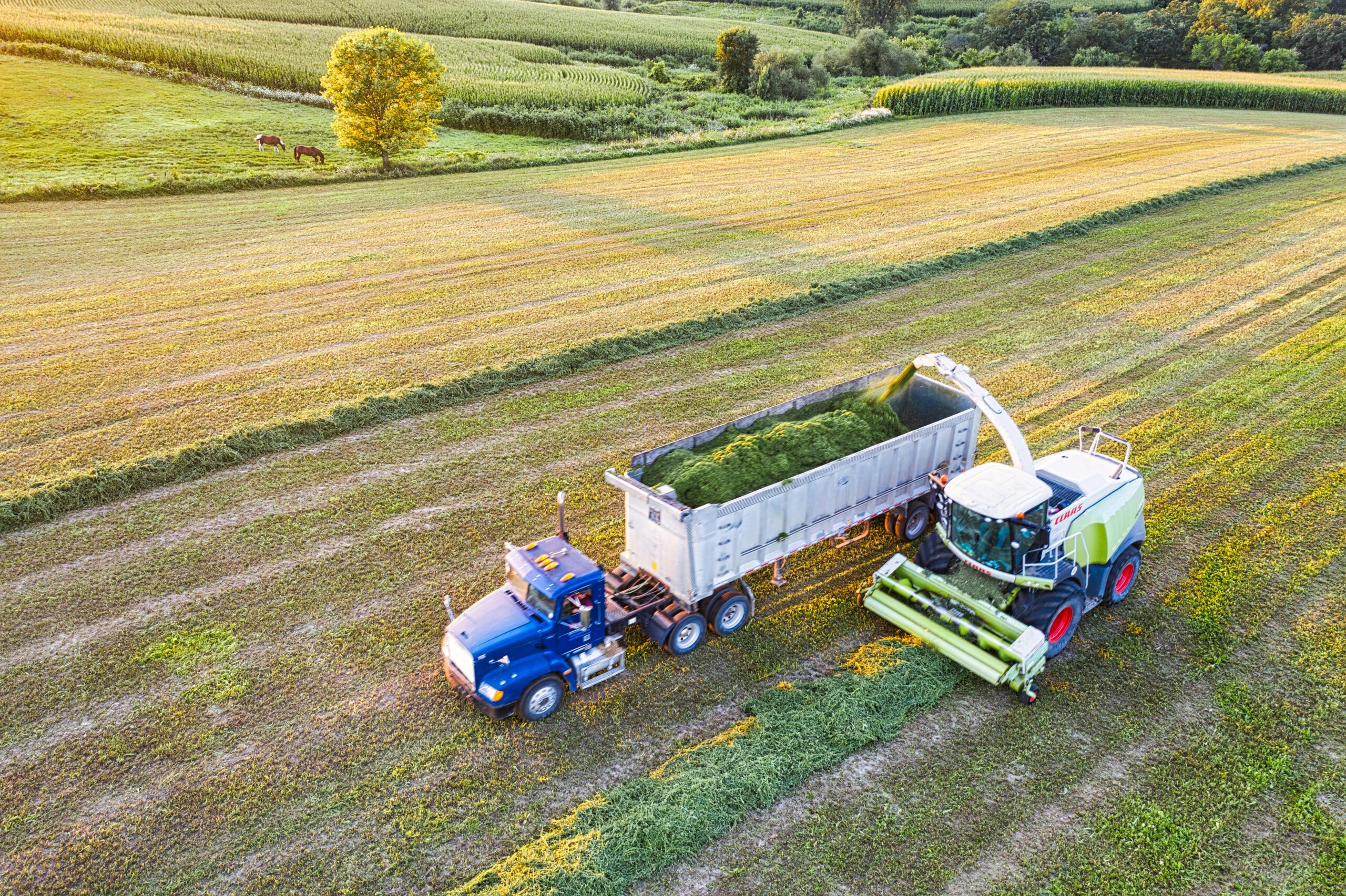 Agrofletes, la plataforma que revoluciona la logística en el agro