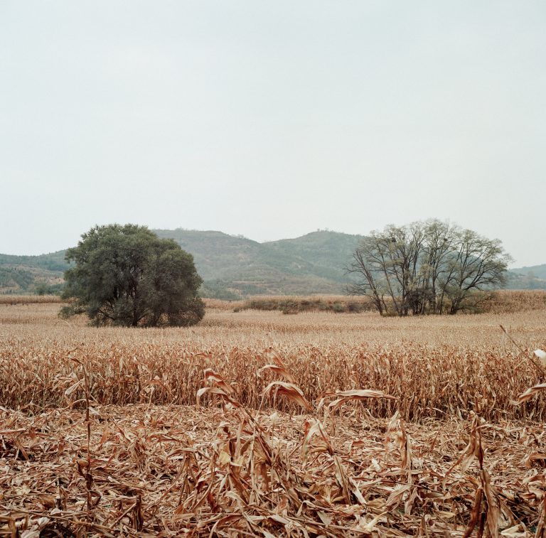 Por la sequía, declaran el estado de Emergencia Agropecuaria en la provincia de Buenos Aires