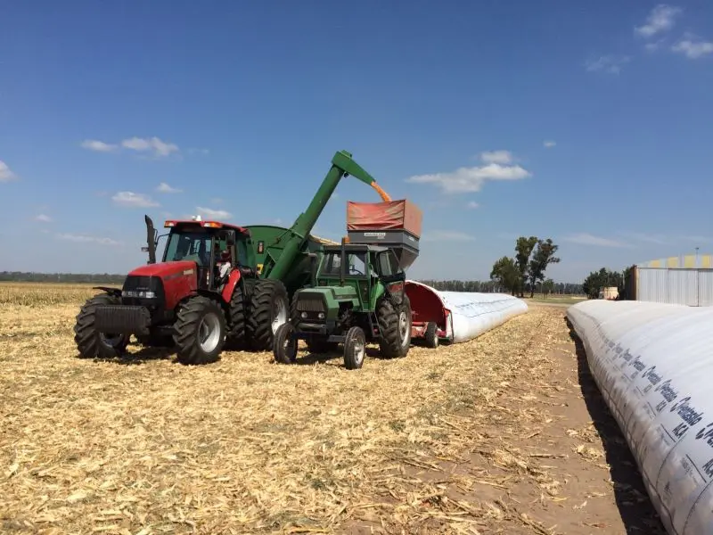 La poscosecha es la nueva frontera de la eficiencia agrícola