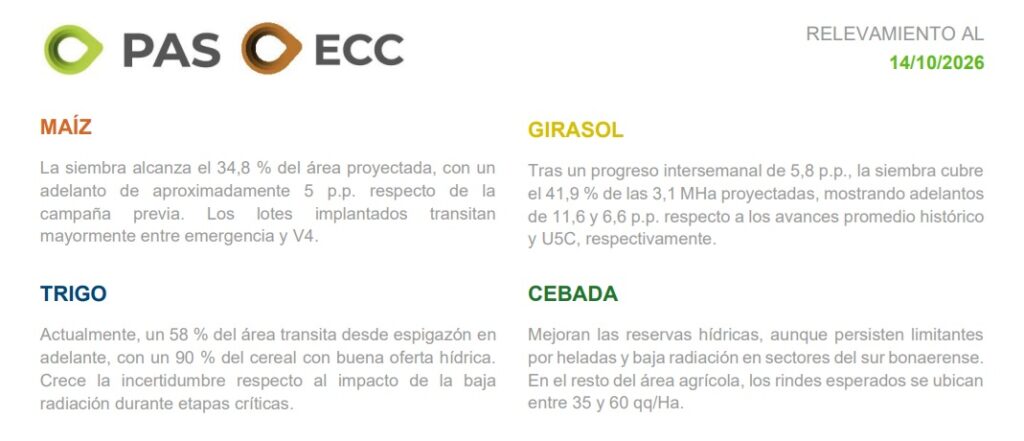 Hay más agua en el suelo, pero la siembra se demora - Expoagro - Edición YPF Agro