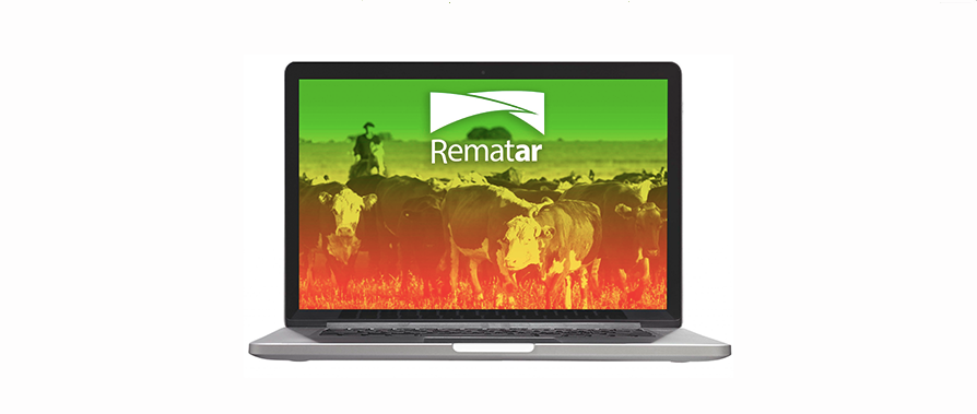 Expoagro prepara su nueva plataforma de remates virtuales