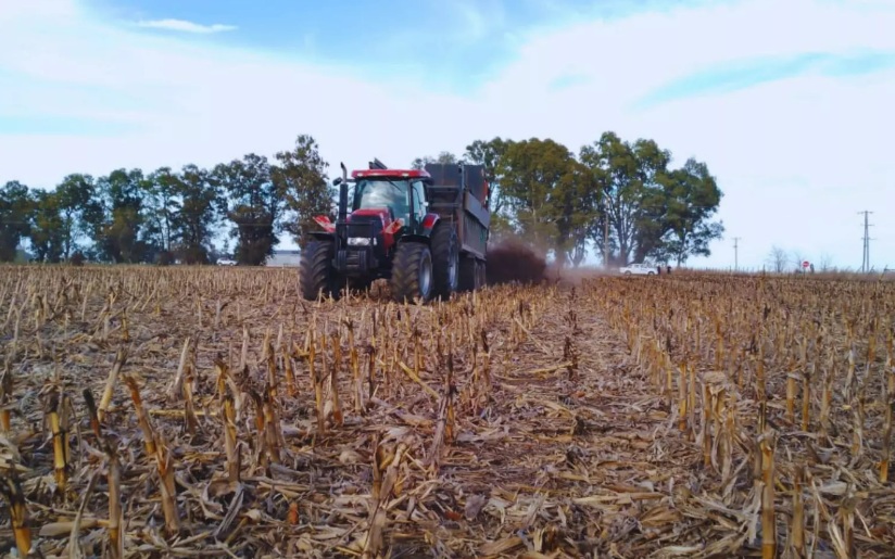 ¿Puede el uso de estiércol mejorar hasta un 26 % los rindes de maíz y soja?