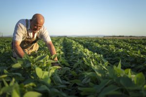 Destinan $3.000 millones para financiar proyectos de inversión de Cooperativas Agroindustriales