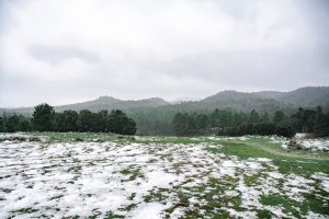 Por las nevadas en el Sur, CRA organiza donaciones para productores afectados