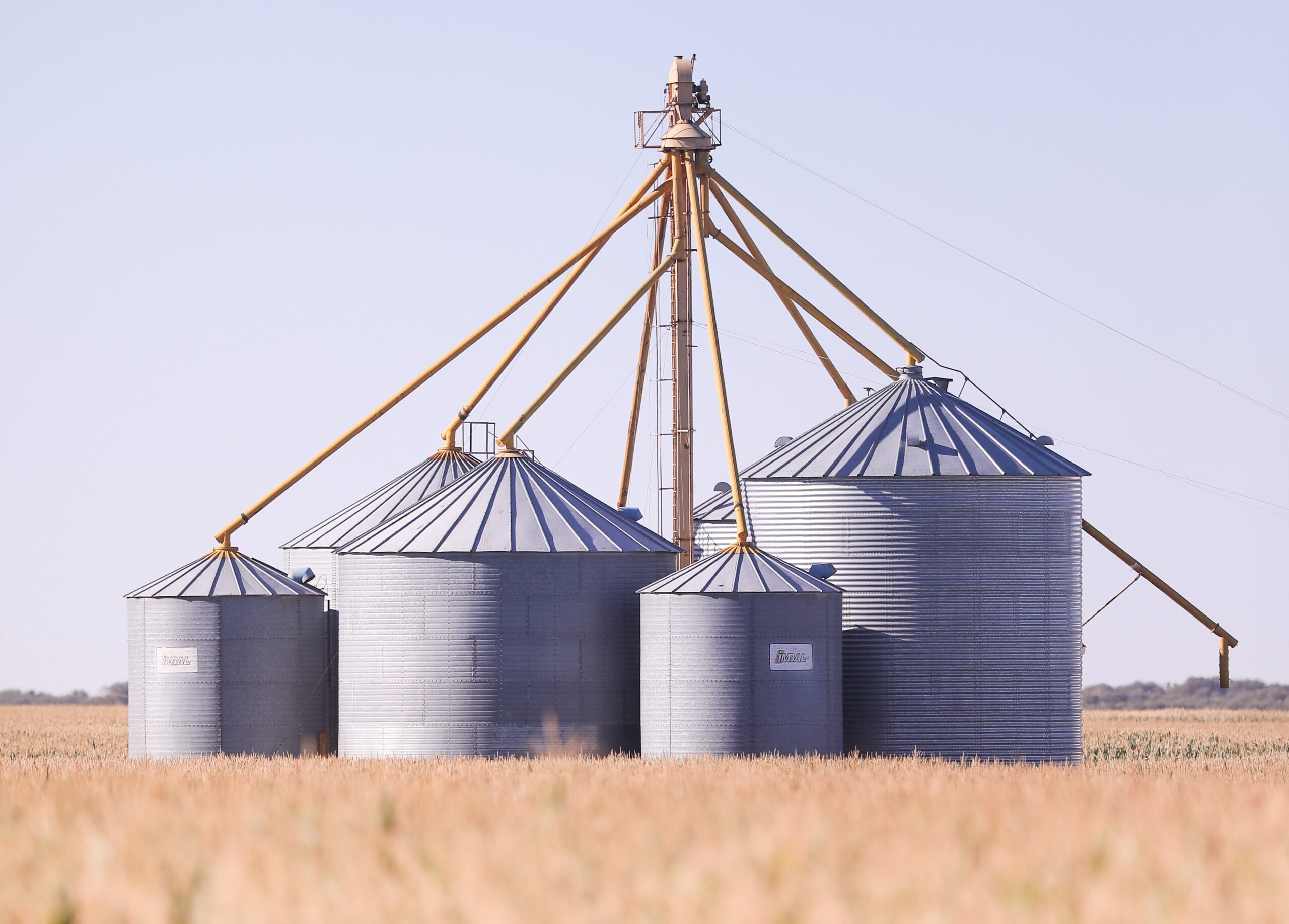 El stock comercial de granos arranca febrero en niveles récord desde al menos 2015