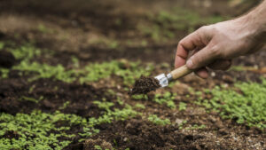 La sistematización de los suelos reduce hasta un 70 % las pérdidas