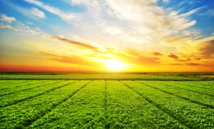 ¿Cuáles son las perspectivas para el invierno y la primavera 2023 en Argentina?