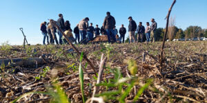 Córdoba duplica infiltración y renueva productividad