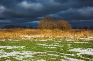 Prorrogan el estado de emergencia agropecuaria en Córdoba