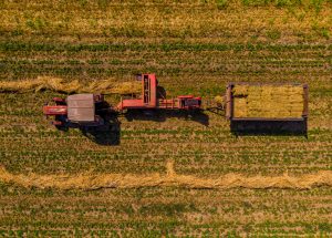 La liquidación de divisas de los agroexportadores cayó 66% en diciembre