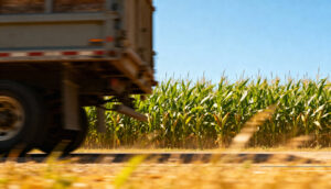 Maíz: El rubro fletes lidera las subas en los costos del cereal