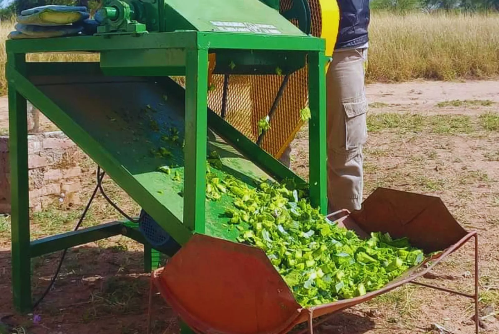 Desarrollan una picadora para optimizar la alimentación ganadera en zonas áridas