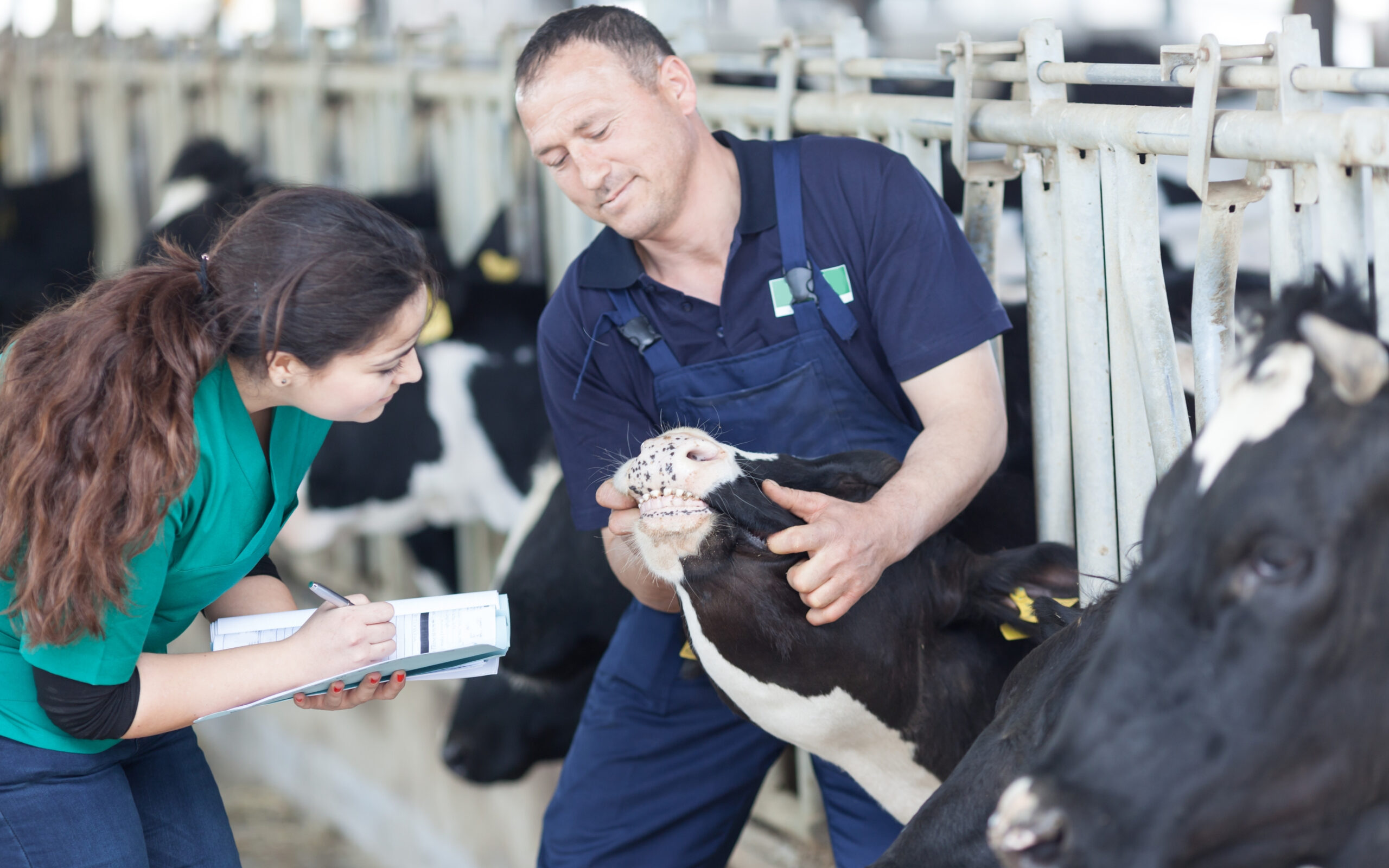Día del veterinario: el valor de acompañar, prevenir y construir un futuro