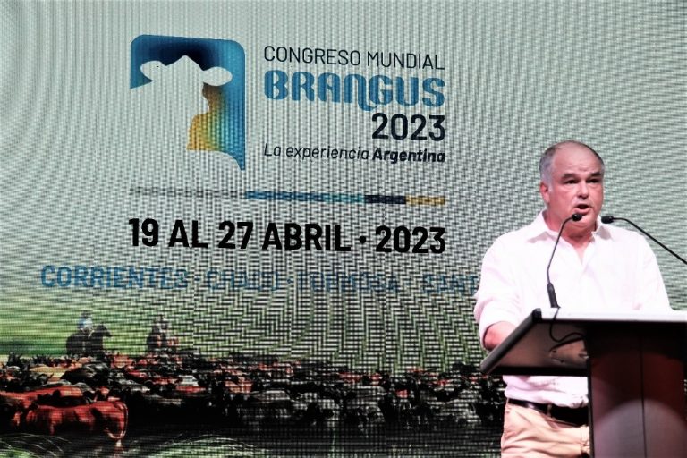 Crecen las expectativas ante el Congreso Mundial Brangus 2023