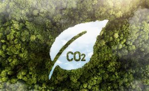 Lanzaron el Observatorio Colaborativo MAIZAR Huella de Carbono