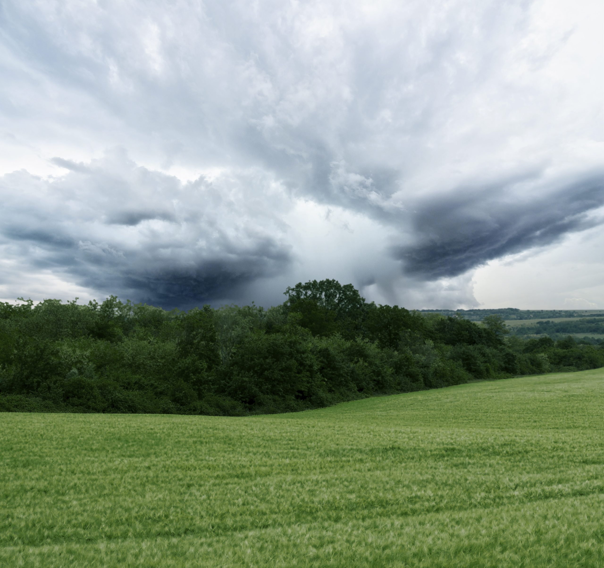 Febrero cerró con lluvias intensas en el campo, pero no alcanzaron para revertir los efectos de la ola de calor