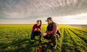 La herencia del agro forja su propio camino