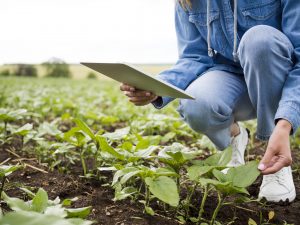 Capacitación y desarrollo en el sector agroindustrial