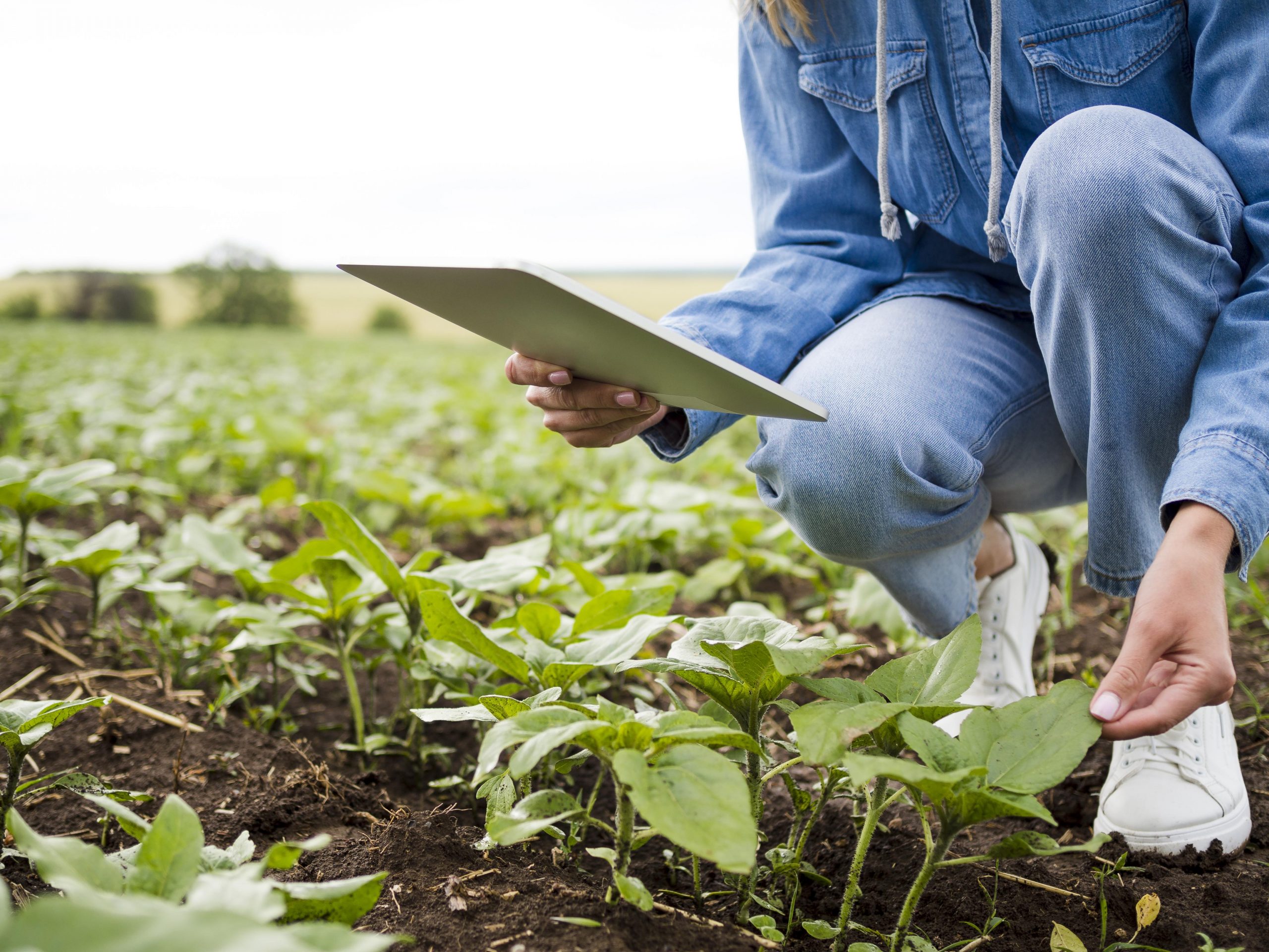 Capacitación y desarrollo en el sector agroindustrial