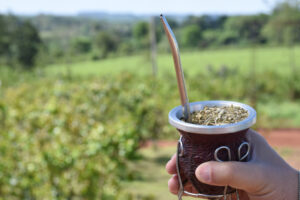 Las ventas de yerba mate se mantienen firmes en el mercado local y en las exportaciones
